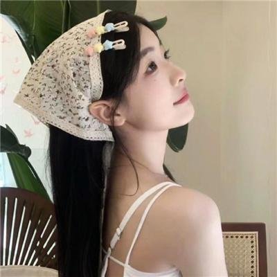 妙警贼探第六季